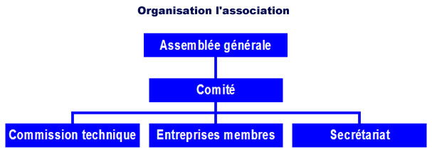 Organisation l'association
